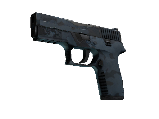 P250 | Forest Night