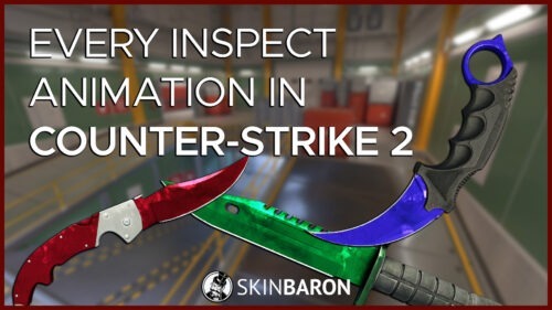 Counter-Strike 2 Knife Inspect Animation