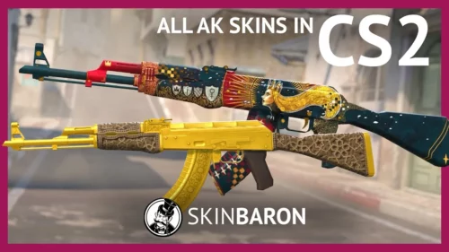 Inspecting All AK-47 SKINS in Counter Strike 2