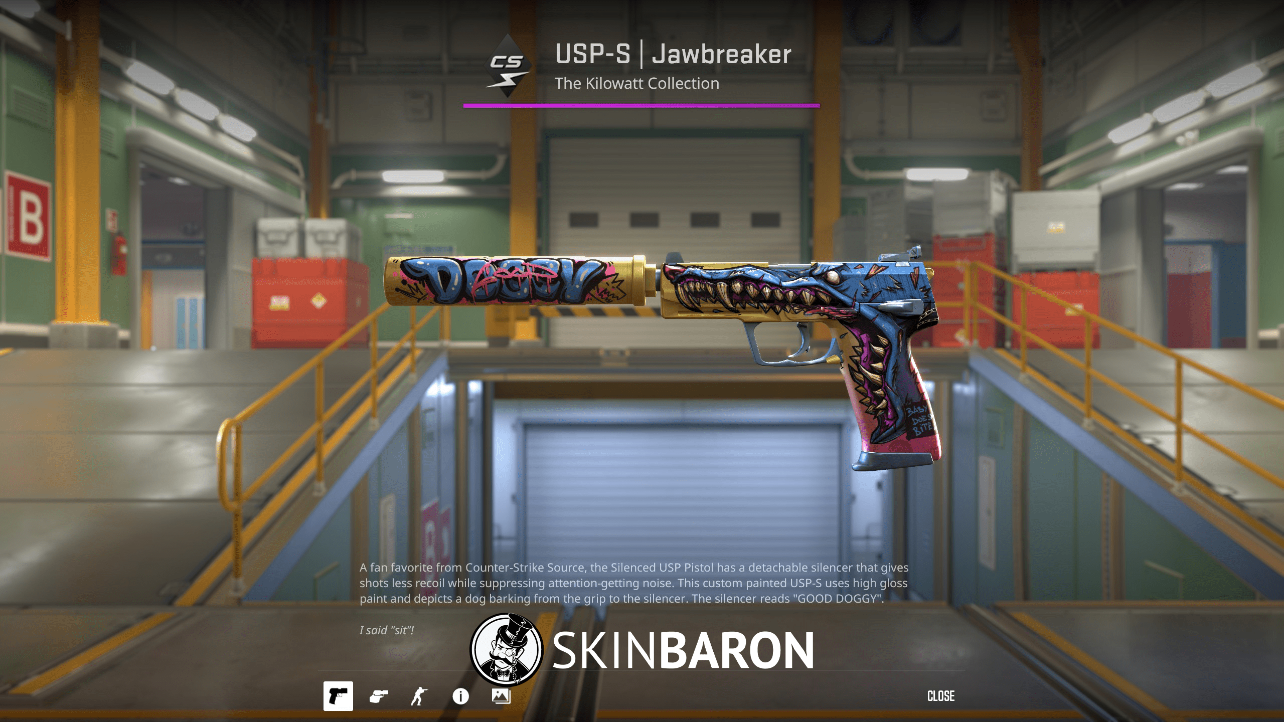 USP-S | Jawbreaker - Kilowatt Case