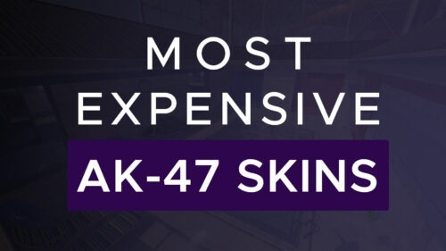 most expensive ak-47 skins